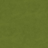 Asset preview